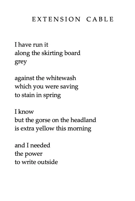 Extension Cable

I have run it
along the skirting board
grey

against the whitewash
which you were saving
to stain in spring

I know
but the gorse on the headland
is extra yellow this morning

and I needed
the power
to write outside