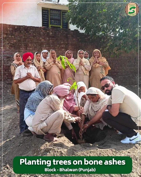 Those we love never truly leave us—they continue to grow in every good deed we do in their memory.
Inspired by the sacred teachings of Saint Dr. Gurmeet Ram Rahim Singh Ji Insan, a family from Block Bhalwan (Punjab) paid a heartfelt tribute to their beloved by planting a tree on their bone ashes. This noble act transforms remembrance into a living legacy, nurturing nature while keeping cherished memories alive. As the tree grows, it will continue to spread life, shade, and hope for generations to come.