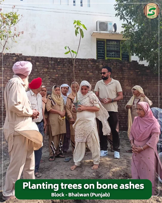 Those we love never truly leave us—they continue to grow in every good deed we do in their memory.
Inspired by the sacred teachings of Saint Dr. Gurmeet Ram Rahim Singh Ji Insan, a family from Block Bhalwan (Punjab) paid a heartfelt tribute to their beloved by planting a tree on their bone ashes. This noble act transforms remembrance into a living legacy, nurturing nature while keeping cherished memories alive. As the tree grows, it will continue to spread life, shade, and hope for generations to come.
