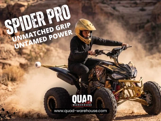 Quad Warehouse