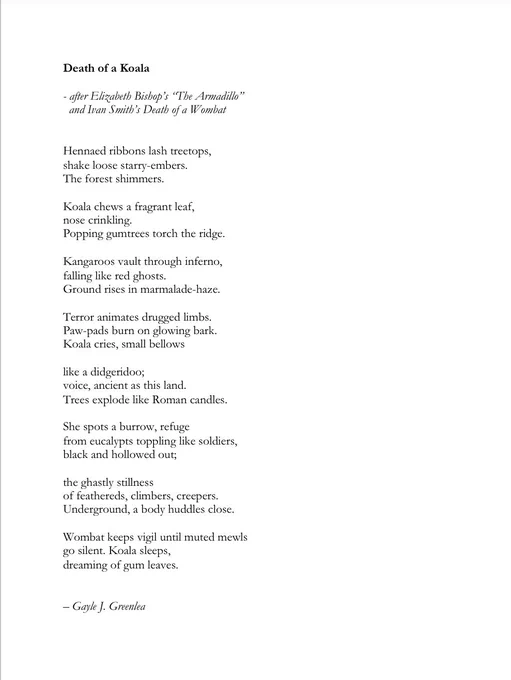 Death of a Koala 

- after Elizabeth Bishop’s “The Armadillo”
  and Ivan Smith’s Death of a Wombat 


Hennaed ribbons lash treetops,
shake loose starry-embers. 
The forest shimmers.

Koala chews a fragrant leaf, 
nose crinkling. 
Popping gumtrees torch the ridge. 

Kangaroos vault through inferno,
falling like red ghosts.
Ground rises in marmalade-haze.

Terror animates drugged limbs. 
Paw-pads burn on glowing bark. 
Koala cries, small bellows 

like a didgeridoo; 
voice, ancient as this land. 
Trees explode like Roman candles.

She spots a burrow, refuge 
from eucalypts toppling like soldiers, 
black and hollowed out; 

the ghastly stillness 
of feathereds, climbers, creepers. 
Underground, a body huddles close. 

Wombat keeps vigil until muted mewls 
go silent. Koala sleeps, 
dreaming of gum leaves. 


– Gayle J. Greenlea