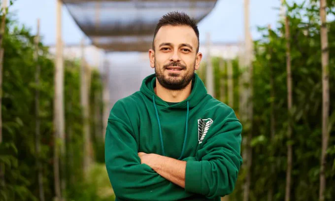 Este agricultor destaca la potencia radicular de este california rojo para tardío de Harmoniz, que le ha permitido cosechar en torno a 10 kilos por metro manteniendo la calidad de frutos hasta el final del ciclo.

Antonio Vicioso, agricultor que esta campaña ha cultivado por primera vez una hectárea de Bernabel, el pimiento california rojo de Harmoniz para el ciclo tardío, lo tiene claro: “Yo voy a repetir”. Y sus motivos para hacerlo son muchos.

Vicioso trasplantó su cultivo en torno al 5 de agosto, en una zona limítrofe entre los términos municipales de El Ejido y La Mojonera, lo arrancó a mitad de mayo y, todavía entonces, “la planta estaba verde y seguía rebrotando”.