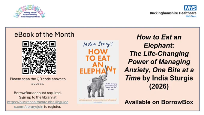 flyer for ebook of the month How to eat an elephant by India Sturgis