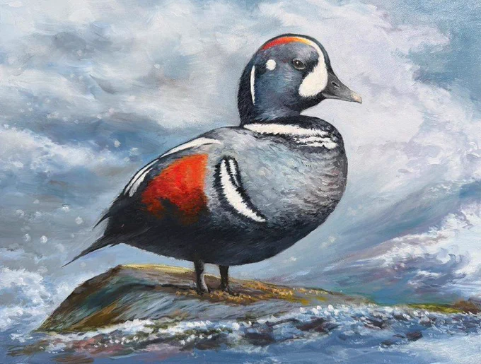 A colorful Harlequin duck standing on a rock surrounded by turbulent water under a cloudy sky.
