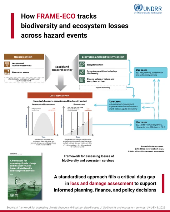 Diagram showing FRAME-ECO's method for tracking biodiversity and ecosystem losses during hazard events with spatial, temporal, and loss assessment components.