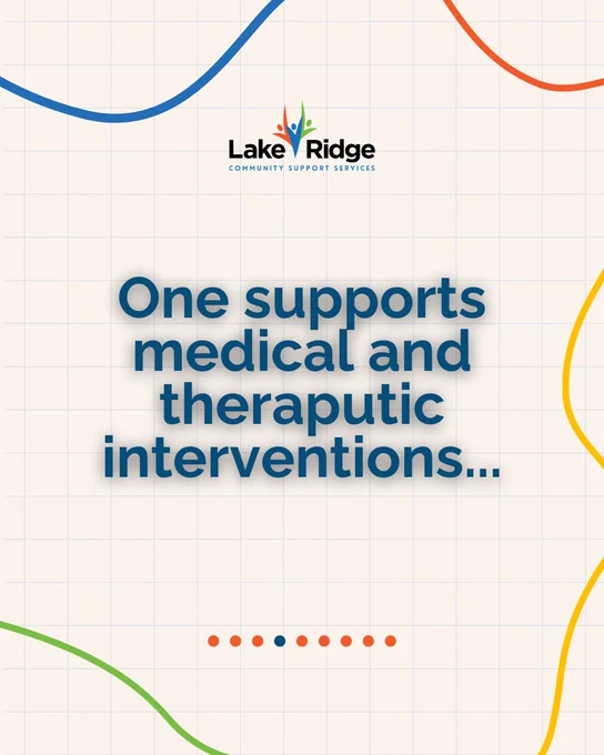 A graphic with the text 'One supports medical and therapeutic interventions...', featuring colorful wavy lines and the Lake Ridge logo.