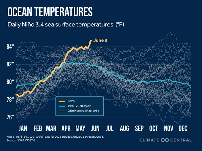 Line graph time series of daily Nino 3.4 sea surface temperatures from 1982 to 2026. This year is currently a record high for this time of year. Data is from NOAA OISSTv2.1, and the graphic is created by Climate Central.