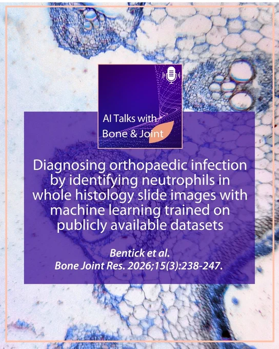 AI Talks with Bone & Joint Research. Diagnosing orthopaedic infection by identifying neutrophils in whole histology slide images with machine learning trained on publicly available datasets. Bentick et al.
Bone Joint Res. 2026;15(3):238-247. Image of histology slide in background.