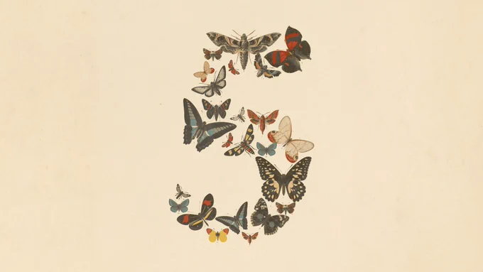 Anthropic launch image showing the number five formed from butterflies.