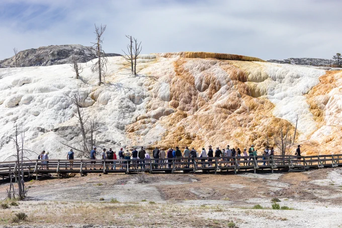 People standing on a wooden boardwalk in a large thermal area featuring limestone terraces on a summer day