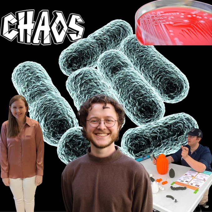 A dramatic collage on a black background featuring the word "CHAOS" in large heavy metal-style white lettering in the upper left corner. Large 3D-rendered teal bacteria cells dominate the center of the image. Three researchers are composited into the scene: Megan Behringer stands on the left in a rust-colored blouse and white pants; William McLaughlin stands in the center foreground smiling, wearing a brown sweater and glasses; and Owen Hale sits in the lower right at a table covered with scientific models and educational materials, wearing a dark cap and navy shirt. A real photograph of a red bacterial culture plate is visible in the upper right corner.
