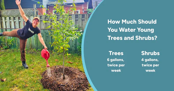 LEAF staff watering newly planted trees