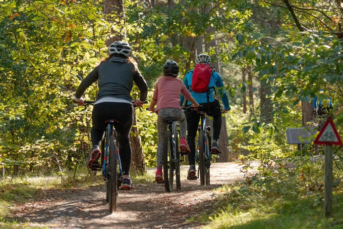 Photo of cyclists on a tree-lined path