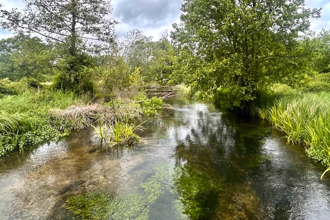 River Test