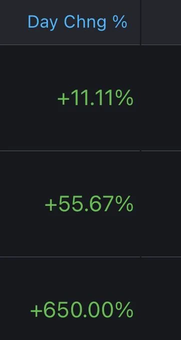 ZW Futures Options