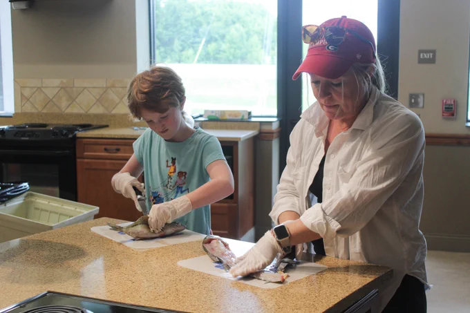 A mom and child practice proper techniques for filleting a fish.
