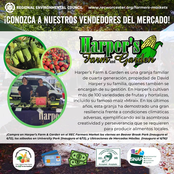 ¡Conozca a los vendedores del Mercado de Agricultores de REC!
Harper’s Farm & Garden es una granja familiar de cuarta generación, propiedad de David Harper y su familia, quienes también se encargan de su gestión. En Harper’s cultivan más de 100 variedades de frutas y verduras. En los últimos años, esta granja ha demostrado una gran resiliencia frente a condiciones climáticas adversas, ejemplificando la asombrosa creatividad y perseverancia que se requieren para producir alimentos locales.