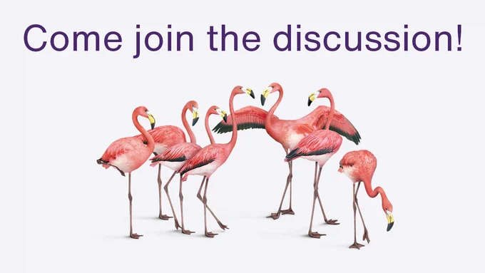 Come join the discussion! A group of vibrant pink flamingos stand together on a light background. Some have their heads up, one spreads its wings, and another bends its head down.