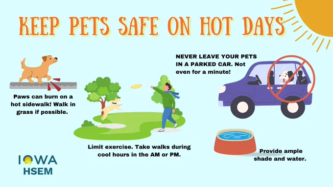 'KEEP PETS SAFE ON HOT DAYS NEVER LEAVE YOUR PETS IN PARKED CAR. Not even for a minute! Paws can burn on a hot sidewalk! Walk in grass if possible. IOWA HSEM Limit exercise. Take walks during cool hours in the AM or PM. Provide ample shade and water." image of a dog on a sidewalk, a man playing fetch with a dog in  a park, a dog in a car, and a bowl of water