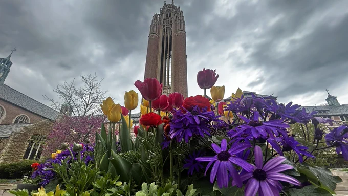 Vibrant purple, red, and yellow flowers bloom in the foreground with a tall gothic brick tower rising dramatically against an overcast, cloudy sky. Other historical buildings are partially visible in the background, including a tree with pink blossoms.