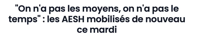 "On n'a pas les moyens, on n'a pas le temps" : les AESH mobilisés de nouveau ce mardi