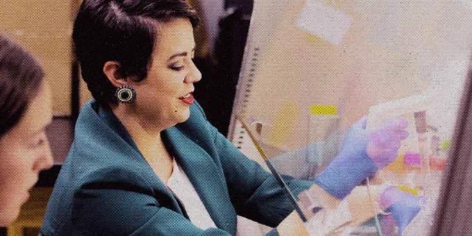 Scientist wearing gloves working with samples inside a biosafety cabinet in a laboratory setting.
