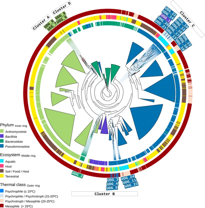 Figure 1. Phylogenetic landscape of bacterial family-I UDGs and selection of the 24-member panel.