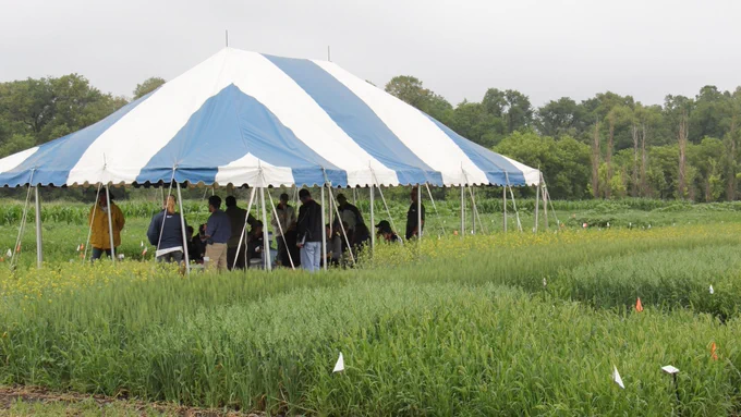 People standing under a tent.