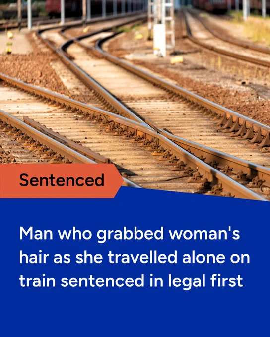Graphic about a man sentenced for grabbing a woman's hair on a train, with railway tracks in the background.