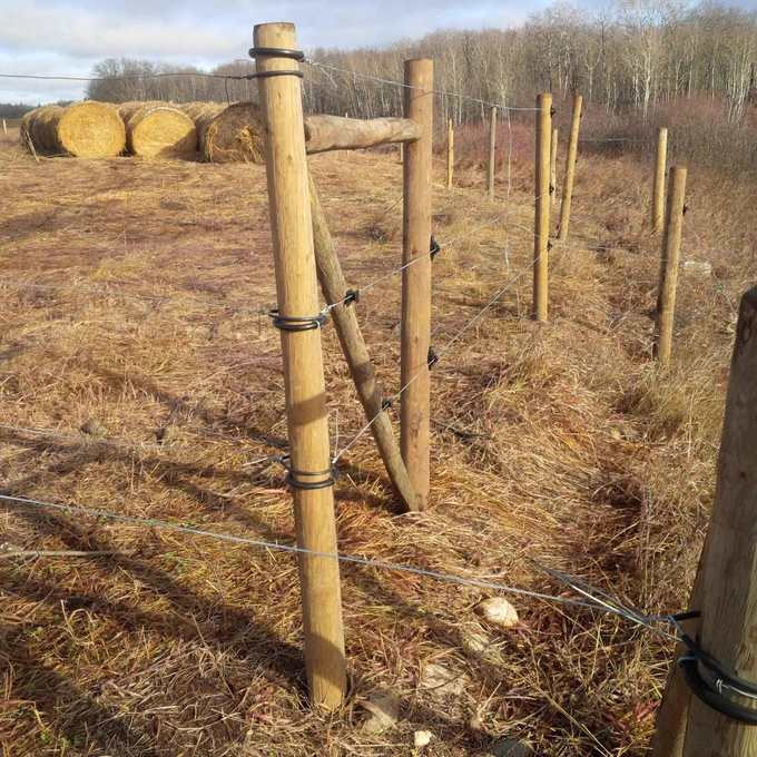 Fence.