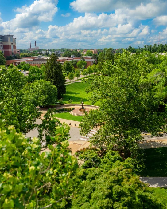 Aerial view of a green campus lawn and walkways framed by trees on a sunny day at Michigan State University, with the Spartan statue visible in the foreground.
