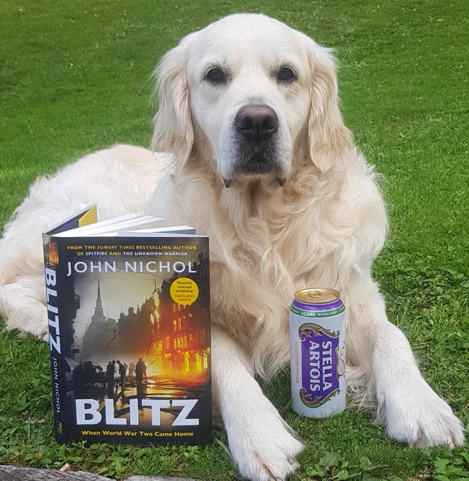 Ralph the golden retriever with the BLITZ book & a can of Stella Artois 