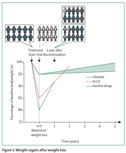Typical patterns of weight regain after weight loss induced by lifestyle modification (including low-calorie diets, physical activity, and behavioural therapy), VLCD, and incretin-based pharmacotherapies. For lifestyle treatments, a maximum weight loss of 5% from baseline was assumed, followed by a regain of 5–19% per year over 5 years (green area). For VLCD treatments, a maximum weight loss of 15% from baseline was assumed, followed by a regain of 45% per year over 2 years. For incretin drugs, a maximum weight loss of 20% from baseline was assumed, followed by a regain of 60% over the first year. Within one year after discontinuation of treatment, approximately 75% of patients who lost weight by lifestyle modification and approximately 95% of those who lost weight by VLCD or incretin therapies regain some weight. VLCD=very-low-calorie diets.