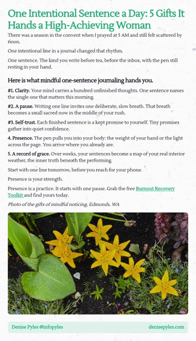 Screenshot essay titled 'One Intentional Sentence a Day: 5 Gifts It Hands a High-Achieving Woman.' The text discusses the benefits of mindful one-sentence journaling, elaborating on five key gifts it offers: 1. Clarity, enabling focus on a single important thought. 2. A pause, providing a moment of stillness amidst busyness. 3. Self-trust, as completing thoughts builds confidence. 4. Presence, fostering awareness of the present moment through writing. 5. A record of grace, tracking emotional states over time. The essay encourages starting this practice the next day. A call-to-action to grab a 'Burnout Recovery Toolkit' is included. An image depicting the gifts of mindful noticing in Edmonds, WA, accompanies the text.