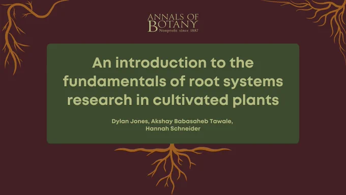 An introduction to the fundamentals of root systems research in cultivated plants