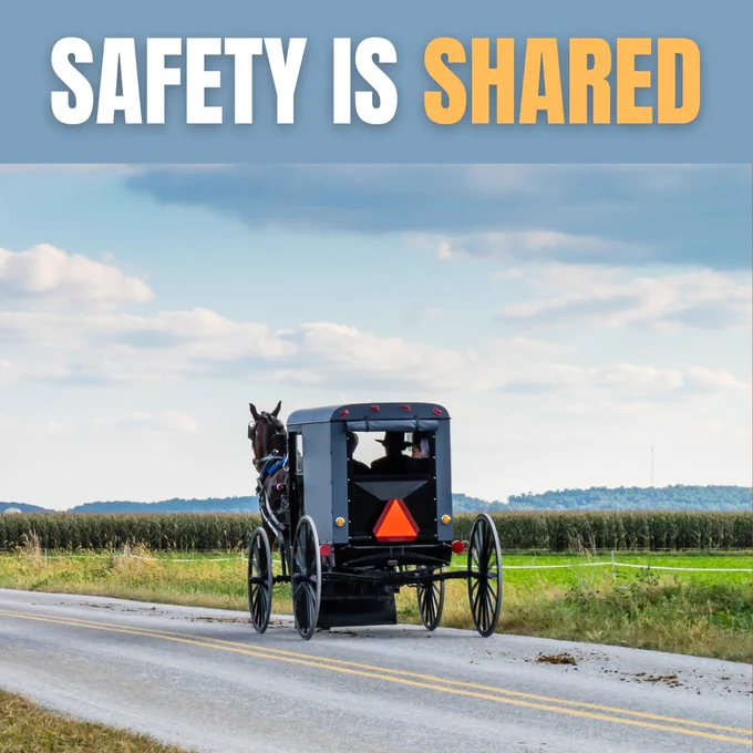 Image of a horse drawn buddy on a rural road with slow moving vehicle sign on back.

Text reads Safety is Shared.