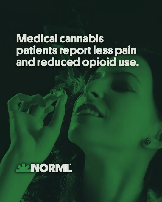 Headline reads, "Medical cannabis patients report less pain and reduced opioid use." Background shows a close-up of a smiling woman smoking a legal cannabis joint.