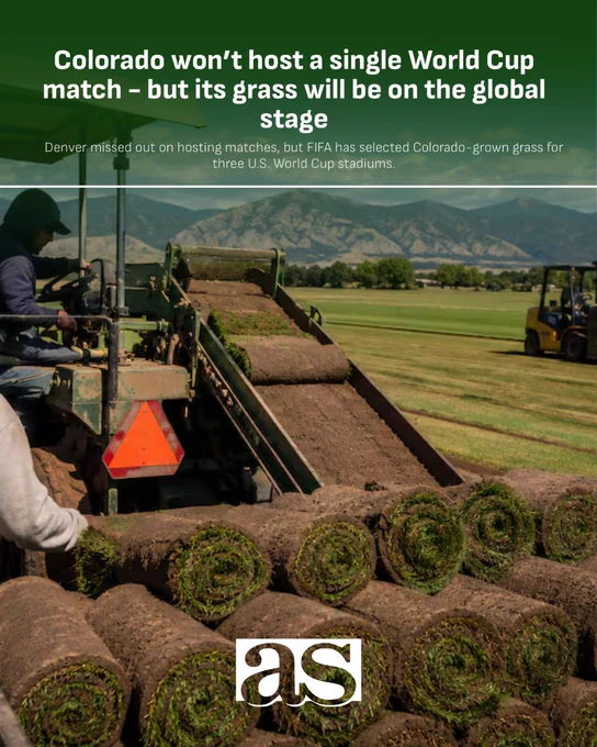 Workers harvesting rolls of grass on a field with mountains in the background, highlighting Colorado-grown turf for World Cup stadiums.