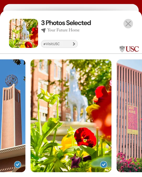 Close-up of vibrant red flowers with a blurred Trojan statue and USC campus buildings in the background on a sunny day.