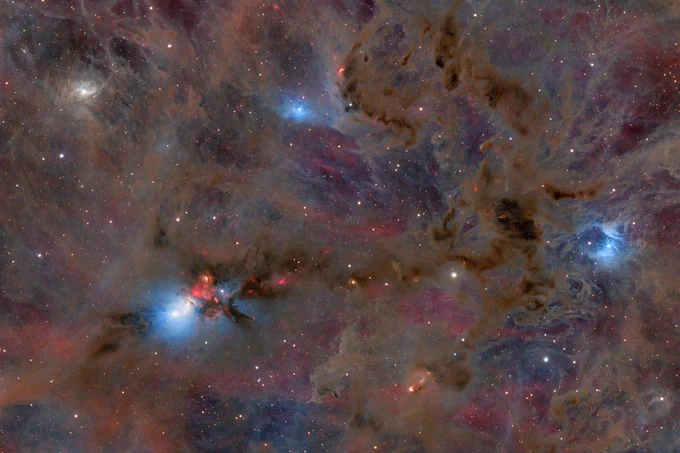 Sun photographed this active star forming region of Nebula NGC 1333, revealing dense clouds of gas and dust where new stars are being born.
