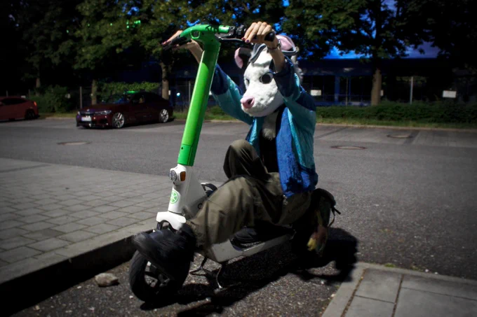 (Photo by "AuraDoesArt")
