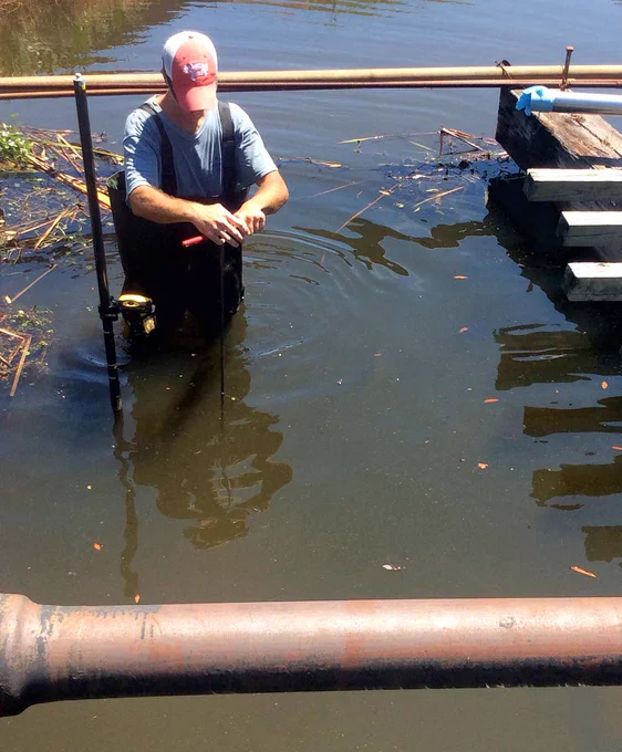 Wetlands investigation performed at OU-2