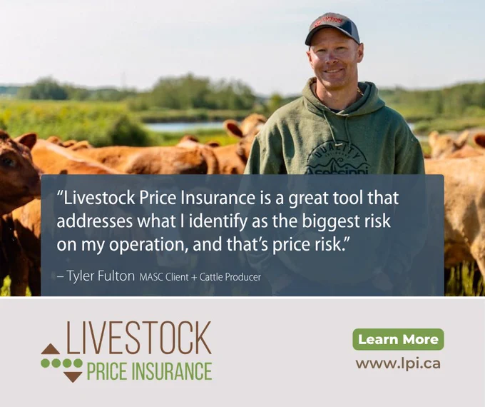Farmer standing in a field surrounded by cattle, promoting Livestock Price Insurance with a testimonial about managing price risk.