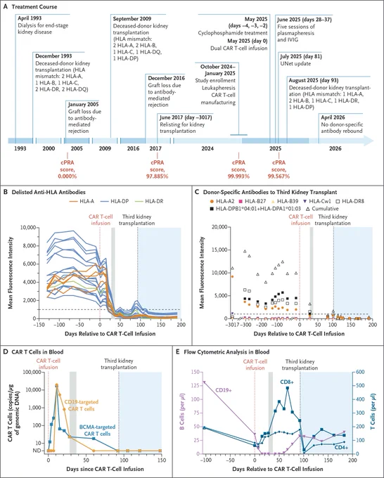 This image features four graphs and a timeline related to treatment course, anti-HLA antibody levels, CAR T-cell levels, and flow cytometric analysis in Patient 2. The timeline in Panel A shows the treatment course and cPRA scores before and after the CAR T-cell infusion in Patient 2. The Panel B graph shows levels of antibodies to HLA antigens that were eventually delisted in the patient, before and after the CAR T-cell infusion. The Panel C graph shows levels of donor-specific antibodies to the third kidney transplant before and after the CAR T-cell infusion. The Panel D graph shows levels of CAR T cells in blood after the infusion. The Panel E graph shows the results of flow cytometric analysis in blood before and after the CAR T-cell infusion, including levels of B cells and T cells. 
