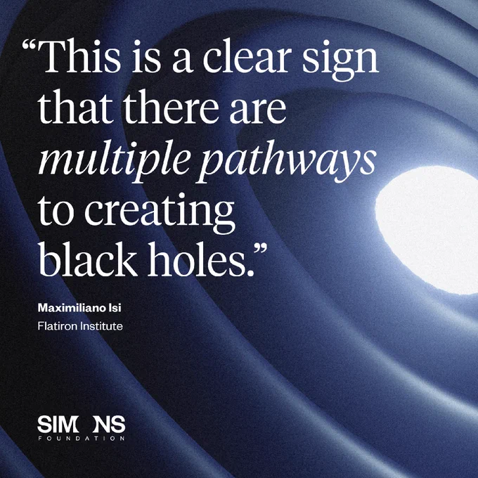 quote from Maximiliano Isi: “This is a clear sign that there are multiple pathways to creating black holes.”