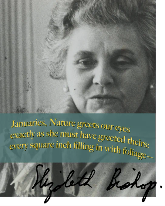 A black-and-white photo of Elizabeth Bishop with lines from her poem, "Brazil, January 1, 1502," overlaid in yellow.