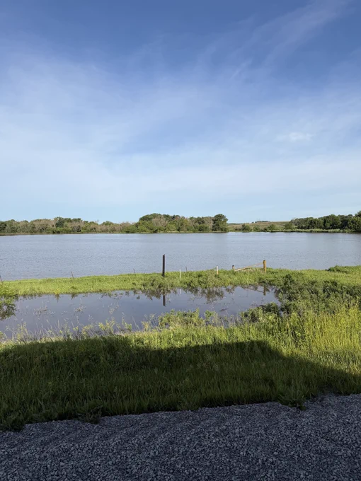 Flooding in a field 
