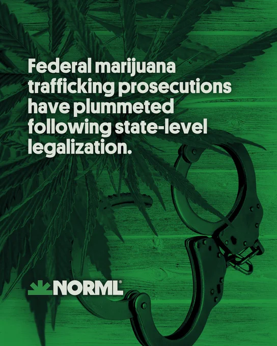 Headline reads, "Federal marijuana trafficking prosecutions have plummeted following state-level legalization." Cannabis leaves hang beside a pair of handcuffs.
