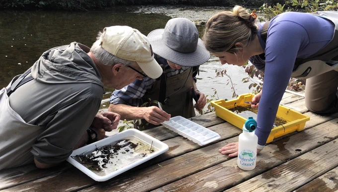 MiCorps volunteers from the Huron River Watershed Council
look at organisms caught as part of their biannual stream monitoring events.
Credit: Huron River Watershed Council.