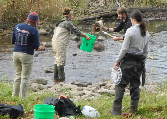 MiCorps volunteers collect water samples to help with monitoring.